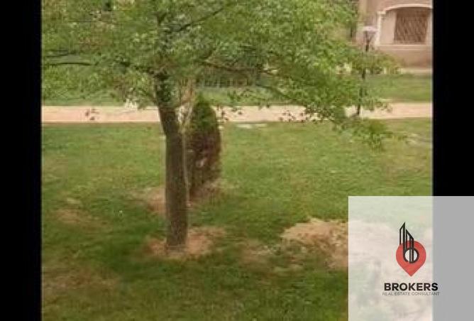 8390337 - الصورة الرئيسية للعقار