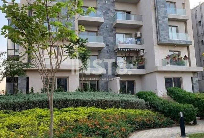 8436399 - Property Image 3