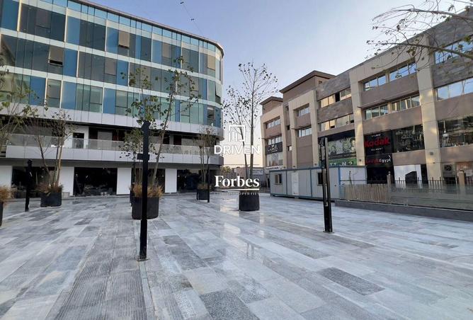 8117684 - Property Image 3
