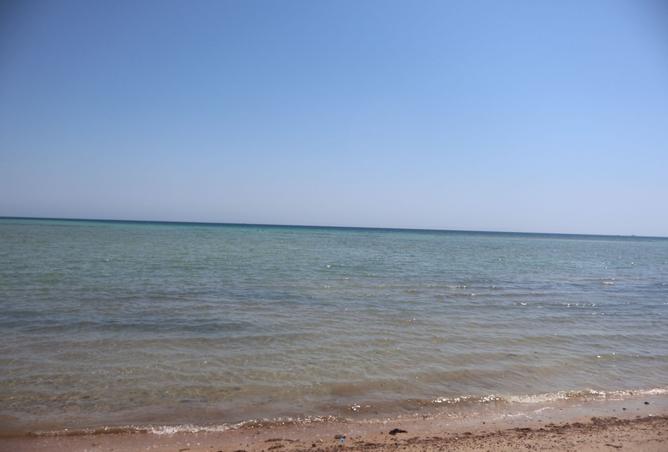 8519921 - صورة العقار 3