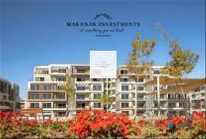 8128191 - Property Image 3