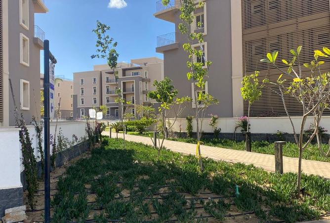 8401672 - صورة العقار 2