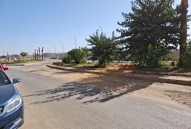 8132712 - صورة العقار 3