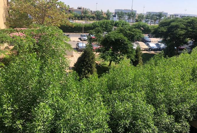 8021047 - Property Image 2
