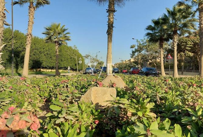 8281614 - Property Image 2