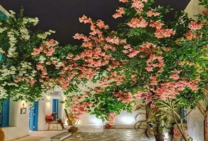 8091063 - صورة العقار 2