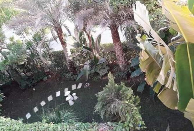 8478340 - صورة العقار 3