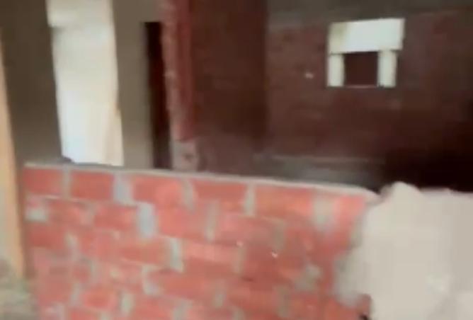 8214161 - Property Image 3