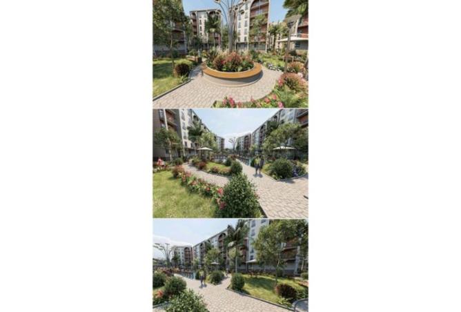 8222791 - صورة العقار 3