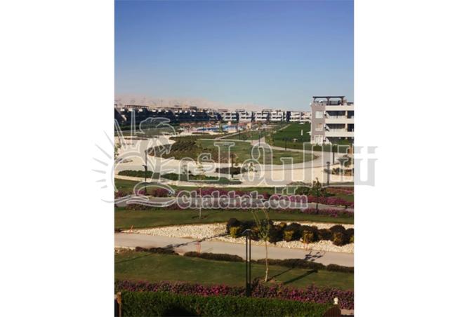 8142550 - الصورة الرئيسية للعقار