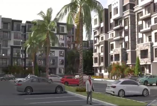 7985253 - Property Image 3