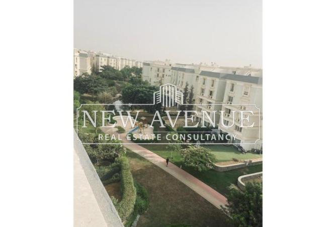 8338636 - Property Image 3