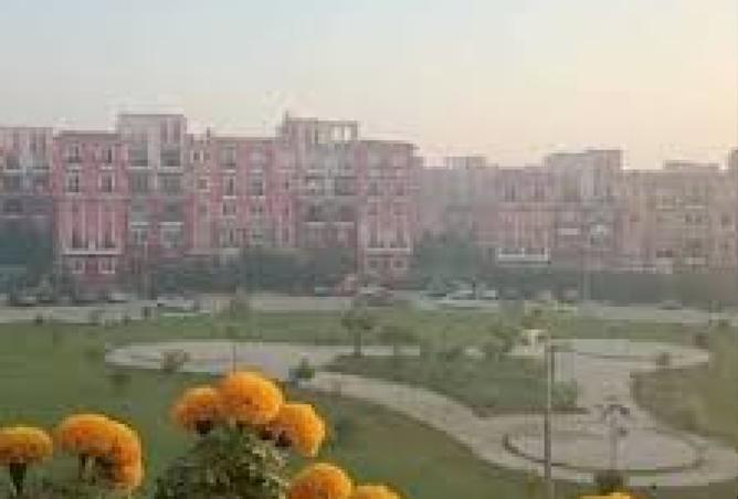 8032805 - Property Image 3