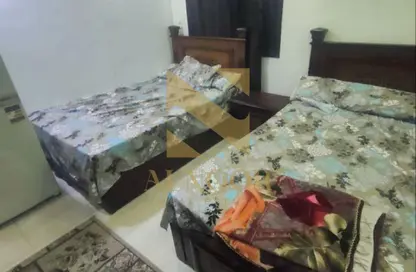 Apartment - Studio - 1 Bathroom for rent in Central St. - 1st District - 6 October City - Giza