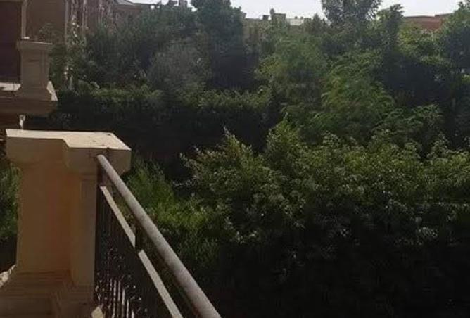 8365685 - صورة العقار 2