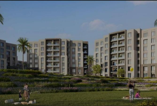 8147559 - Property Image 2