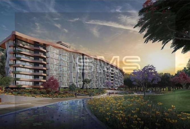 8032629 - Property Image 3