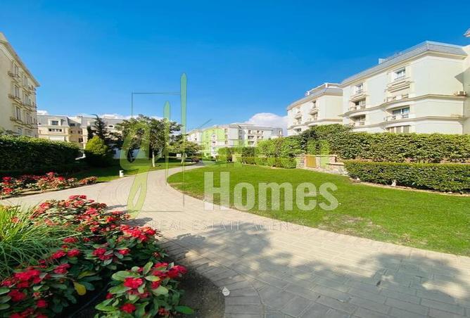 7997962 - Property Image 2