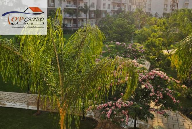 7964594 - الصورة الرئيسية للعقار