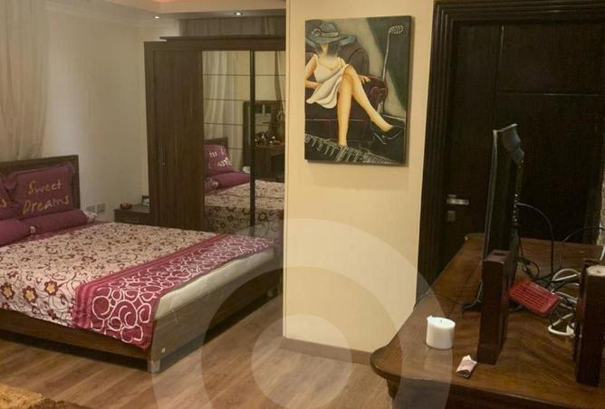 8138251 - Property Image 3