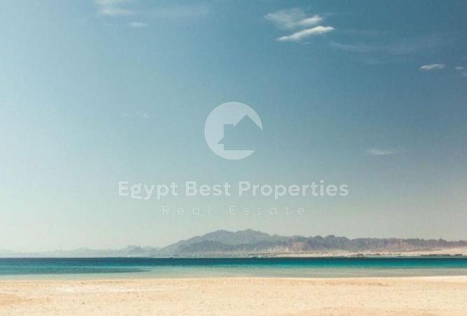 8067847 - Property Image 2