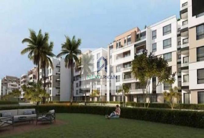 8242806 - Property Image 3