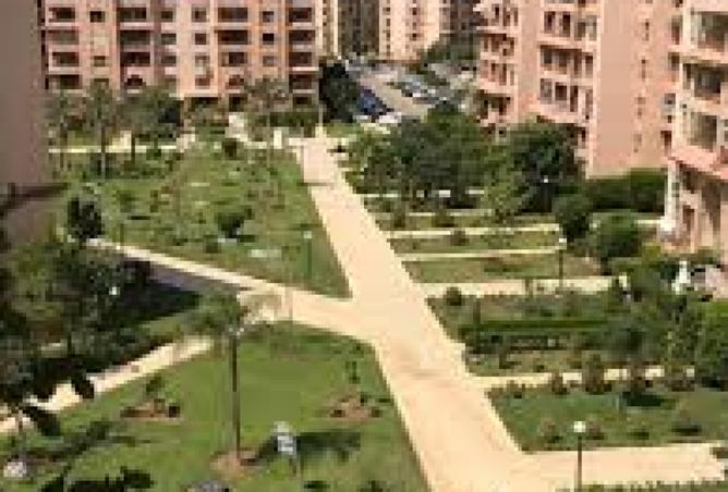 8434468 - صورة العقار 3