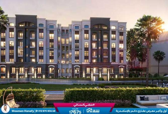 8492993 - Property Image 3