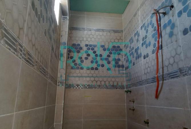 8391219 - Property Image 3