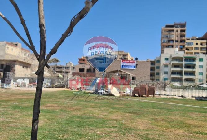 8148220 - صورة العقار 2