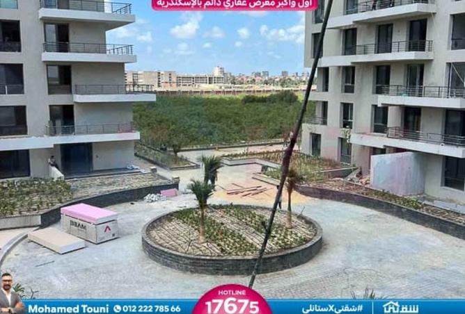 8325939 - Property Image 2