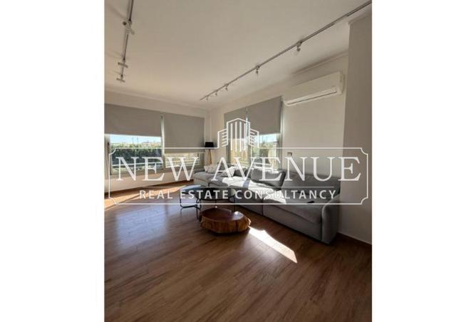 8423233 - Property Image 3