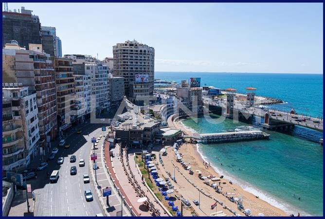 7974542 - صورة العقار 2
