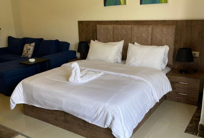 8444759 - Property Image 3