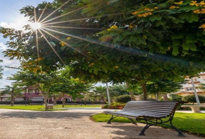 8117132 - Property Image 2