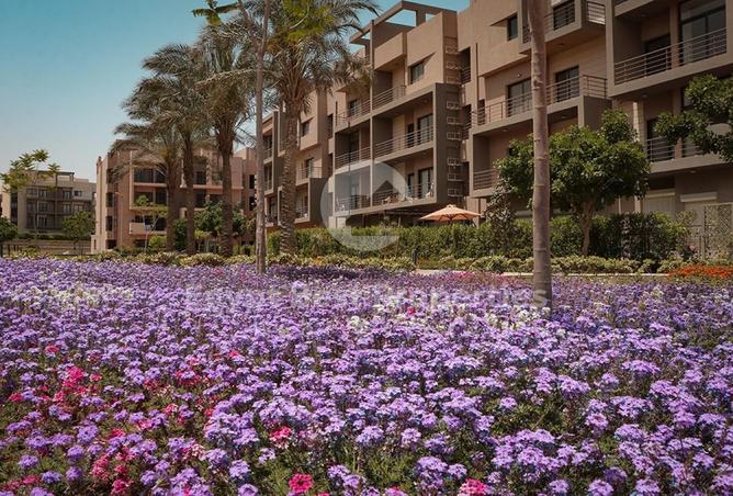8031038 - الصورة الرئيسية للعقار