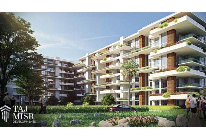 8419309 - Property Image 3