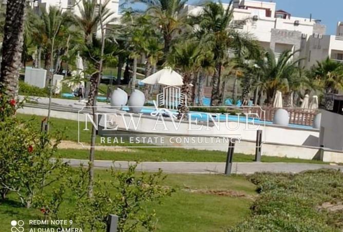 8423364 - صورة العقار 3