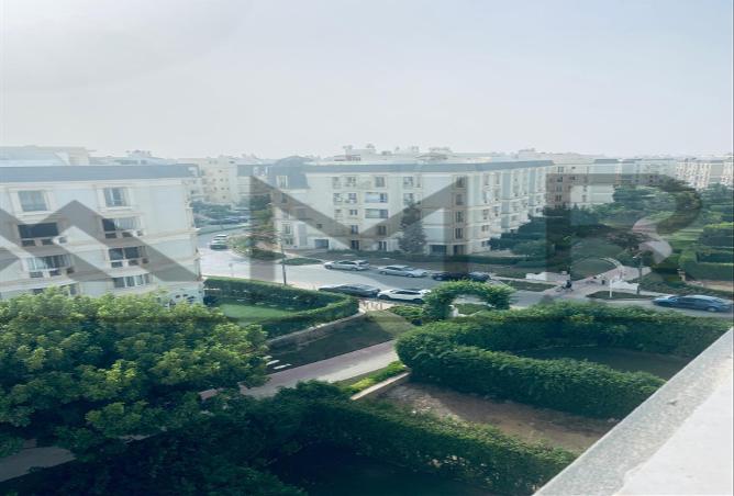 7975466 - صورة العقار 3