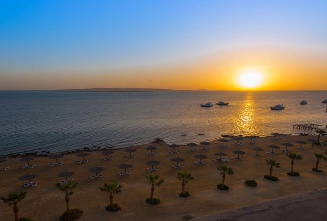 7986005 - صورة العقار 2