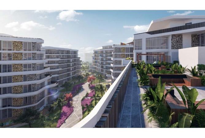 8116529 - Property Image 3