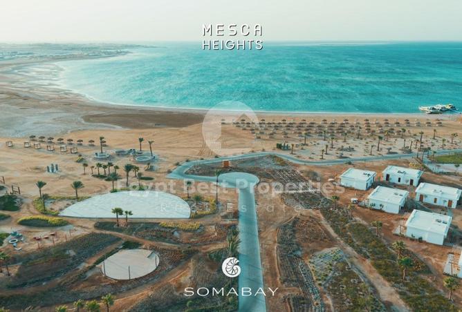 8285837 - Property Image 3