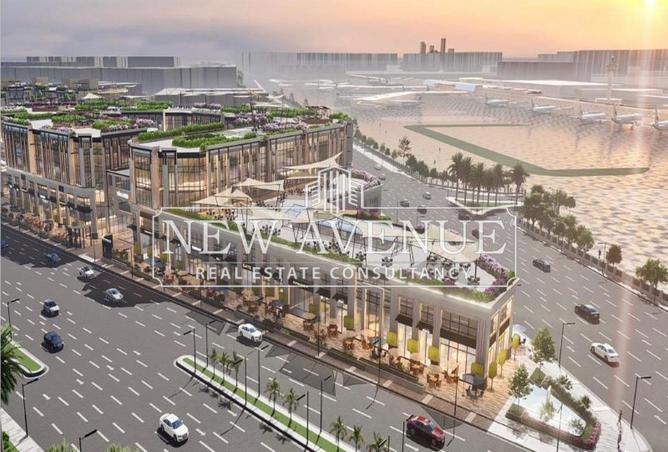 8338930 - Property Image 2