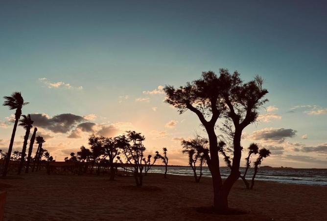 8213247 - Property Image 3