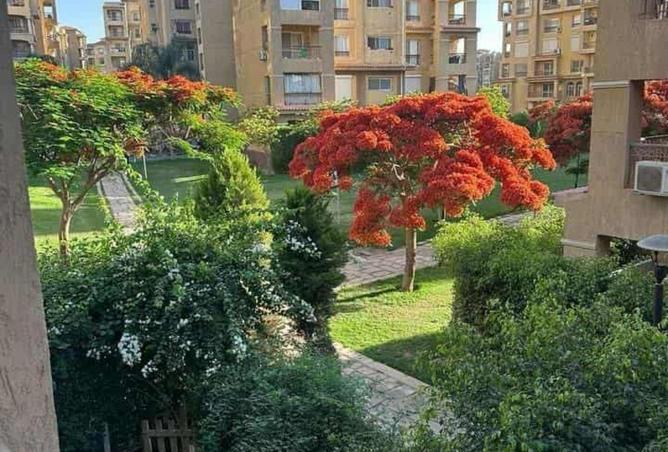 8406590 - صورة العقار 2