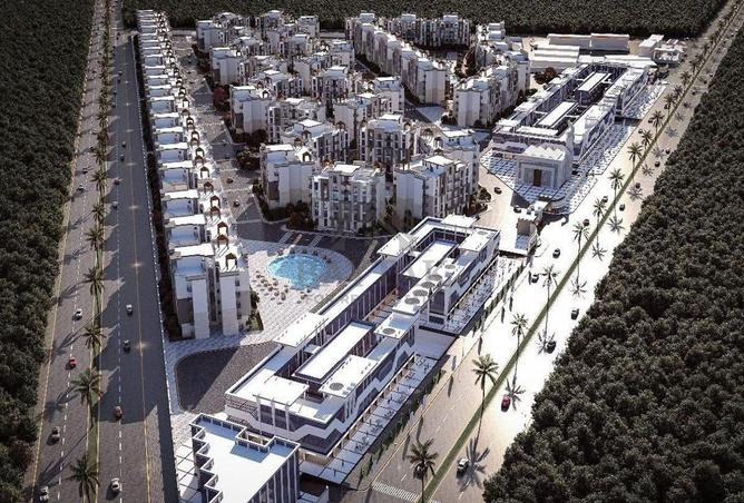 8033290 - Property Image 3