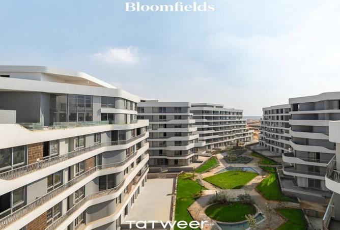 8553477 - Property Image 2