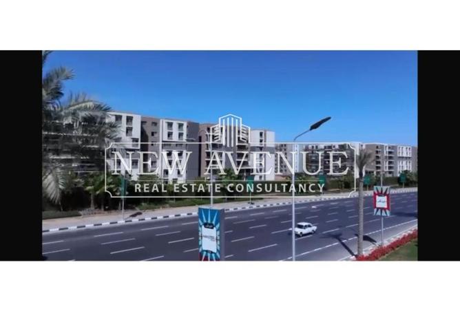 8097053 - Property Image 2