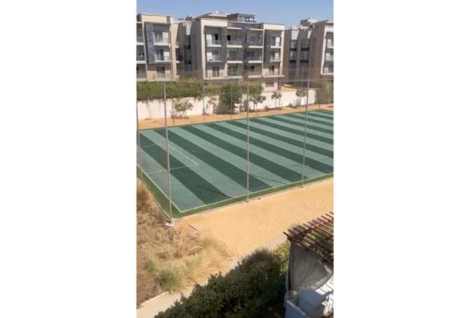 7904504 - Property Image 3