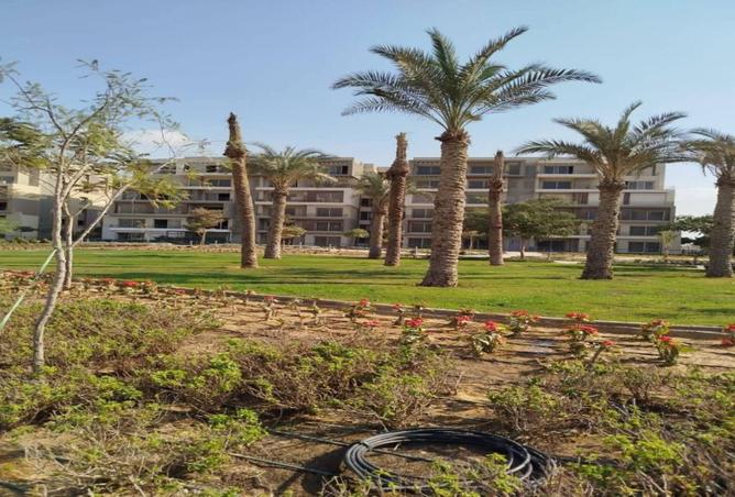 7886702 - صورة العقار 2